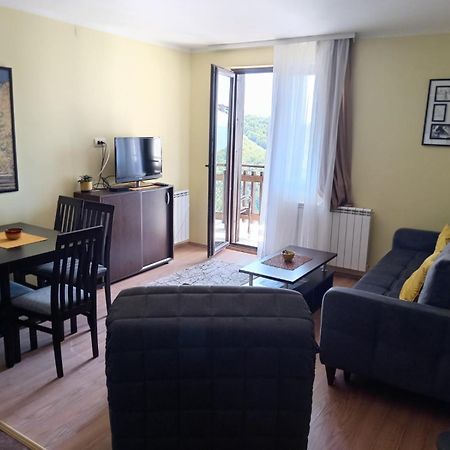 Sunny Days Apartman Копаоник Экстерьер фото